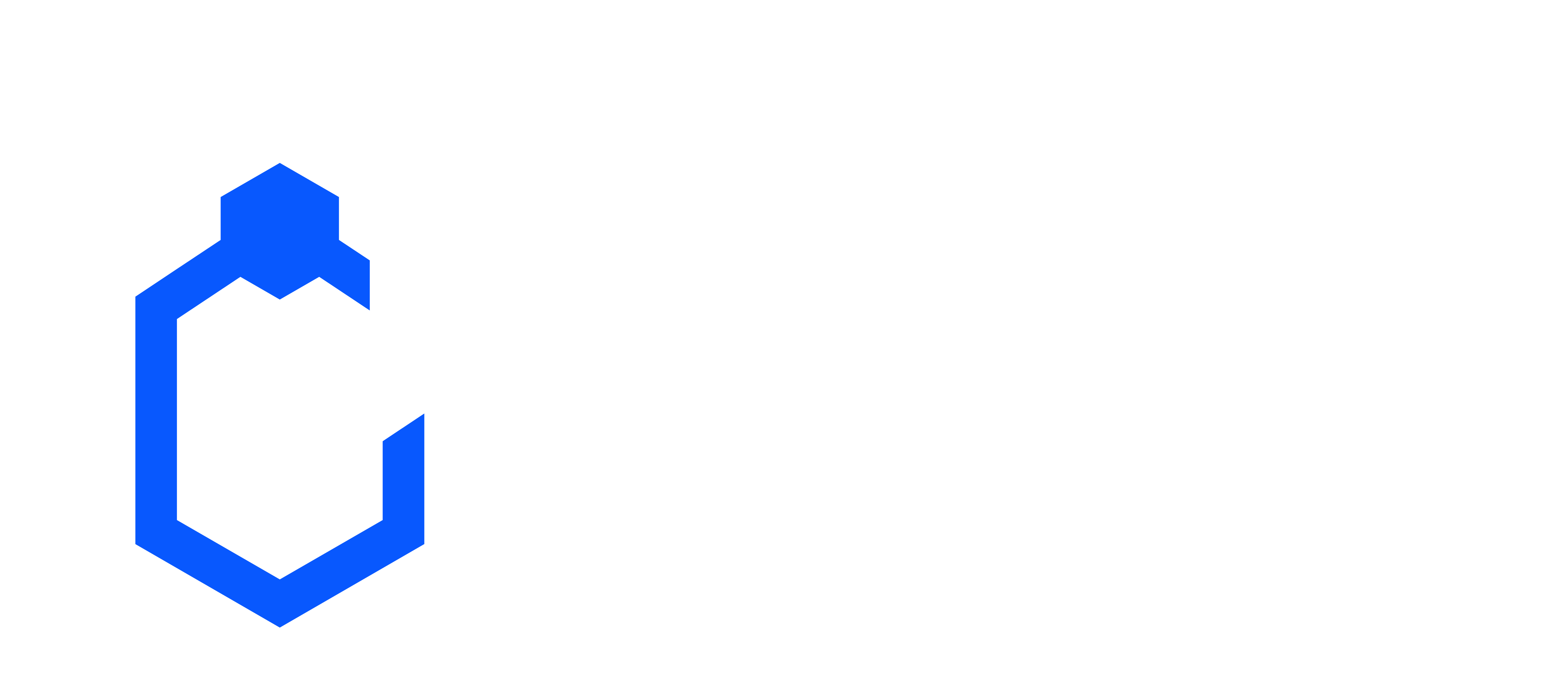 Token Fleet Logo - Blockchain Car Investment Platform